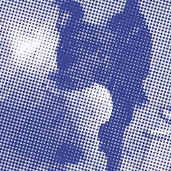 A small dog holding a toy in his mouth.