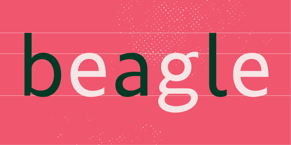 The word "beagle" with lines to show the font's vertical metrics.